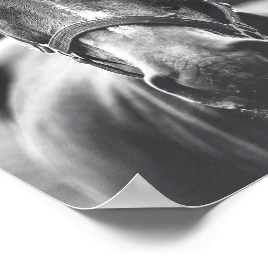 Portrait Foto Poster (Ecke)