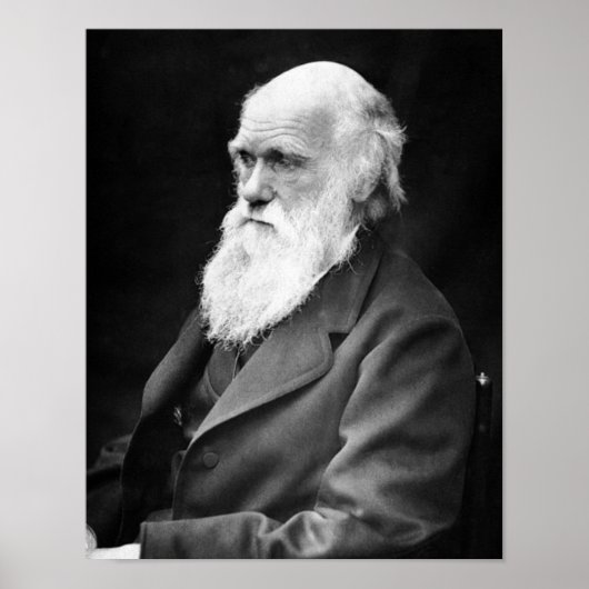 Portrait Foto von Charles Darwin Poster (Vorne)