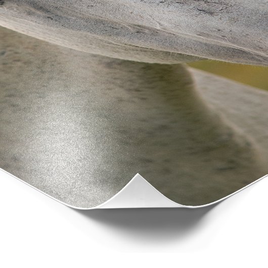 Portrait Fotodruck (Ecke)