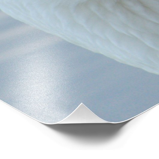 Portrait Fotodruck (Ecke)