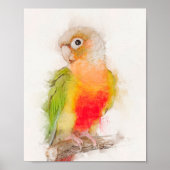 Portrait "Green Cheek Conure" Poster (Vorne)