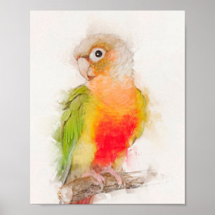 Portrait "Green Cheek Conure" Poster
