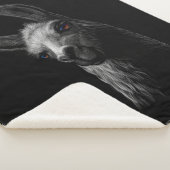 Portrait Head Niedlich Llama mit schwarzem Hinterg Sherpadecke (3/4)