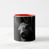 Portrait Head Niedlich Llama mit schwarzem Hinterg Zweifarbige Tasse (Mittel)