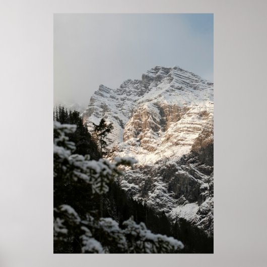 Portrait Illustration Design Poster (Vorne)