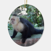 Portrait.JPG Keramik Ornament (Links)