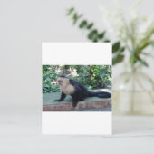 Portrait.JPG Postkarte (Stehend Vorderseite)