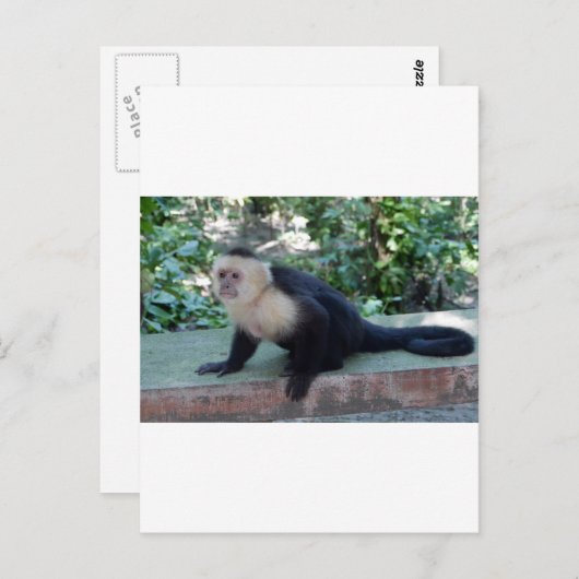 Portrait.JPG Postkarte (Vorne/Hinten)