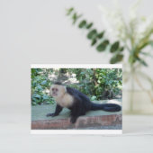 Portrait.JPG Postkarte (Stehend Vorderseite)