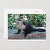 Portrait.JPG Postkarte (Vorne/Hinten)