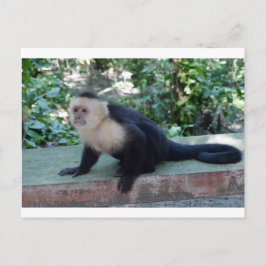 Portrait.JPG Postkarte