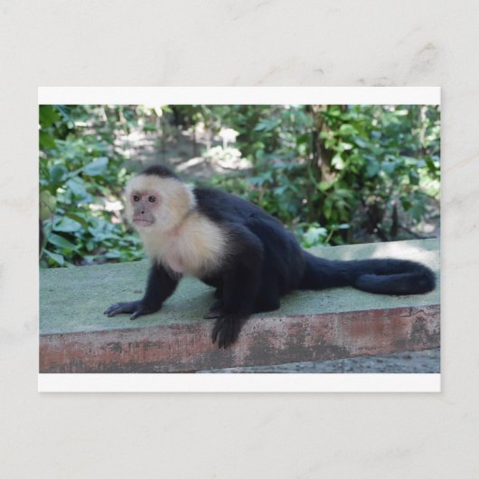 Portrait.JPG Postkarte (Vorderseite)