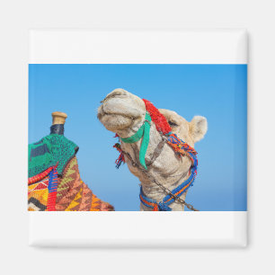 Portrait-Kamelkopf mit bunten Trägerraketen.JPG Magnet