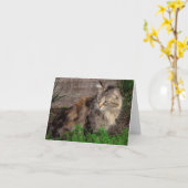 Portrait-Karte der Ferse Karte (Gelbe Blume)