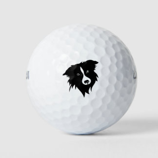 Portrait lustig spielend Schwarz-weiß Collie Welpe Golfball
