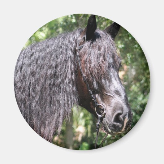 Portrait Magnet (Vorne)