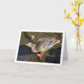Portrait Mallard Karte (Gelbe Blume)