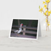 Portrait Muscovy Karte (Gelbe Blume)