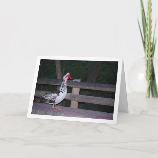 Portrait Muscovy Karte (Vorderseite)