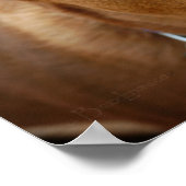 Portrait niedliche Schokolade Labrador Pit Mix Dog Poster (Ecke)