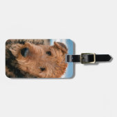 Portrait of a Airedale Terrier Gepäckanhänger (Vorderseite horizontal)