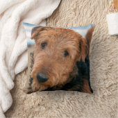 Portrait of a Airedale Terrier Kissen (Decke)