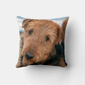 Portrait of a Airedale Terrier Kissen (Rückseite)
