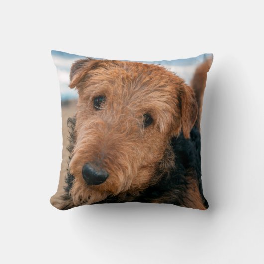 Portrait of a Airedale Terrier Kissen (Vorderseite)