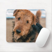 Portrait of a Airedale Terrier Mousepad (Mit Mouse)