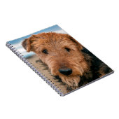 Portrait of a Airedale Terrier Notizblock (Rechte Seite)