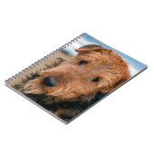 Portrait of a Airedale Terrier Notizblock (Linke Seite)