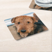 Portrait of a Airedale Terrier Rechteckiger Pappuntersetzer (angewinkelt)