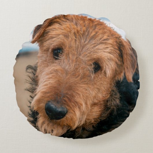 Portrait of a Airedale Terrier Rundes Kissen (Vorderseite)