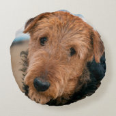 Portrait of a Airedale Terrier Rundes Kissen (Rückseite)