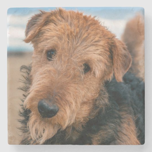 Portrait of a Airedale Terrier Steinuntersetzer (Vorderseite)