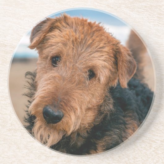 Portrait of a Airedale Terrier Untersetzer (Vorne)