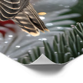 Portrait Of A Hunting Falcon Real Photo Poster (Ecke)