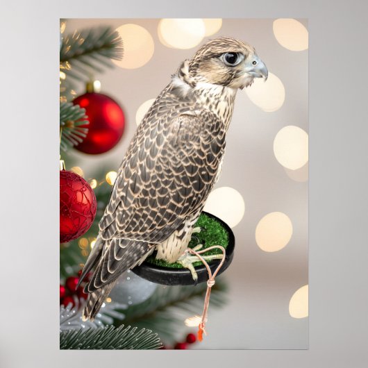 Portrait Of A Hunting Falcon Real Photo Poster (Vorne)