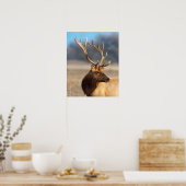 Portrait of a stunning bull elk poster (Küche)