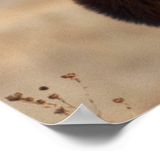 Portrait of a stunning bull elk poster (Ecke)