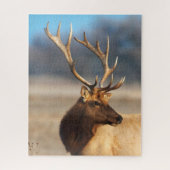 Portrait of a Stunning Bull Elk Puzzle (Vertikal)