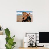 Portrait of an Airedale Terrier 2 Poster (Heimbüro)