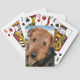 Portrait of an Airedale Terrier Spielkarten