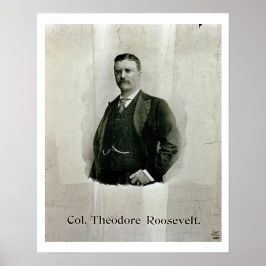 Portrait of Colonel Theodore Roosevelt (litho) Poster (Vorne)