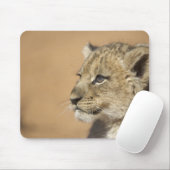 Portrait of Lion cub (Panthera Leo), Namibia Mousepad (Mit Mouse)