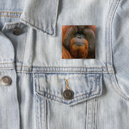 Portrait of Orang-utang Male, Georgia, USA Button (Beispiel)