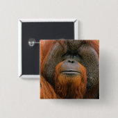 Portrait of Orang-utang Male, Georgia, USA Button (Vorne & Hinten)