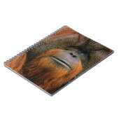 Portrait of Orang-utang Male, Georgia, USA Notizblock (Linke Seite)