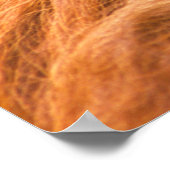 Portrait of Orang-utang Male, Georgia, USA Poster (Ecke)