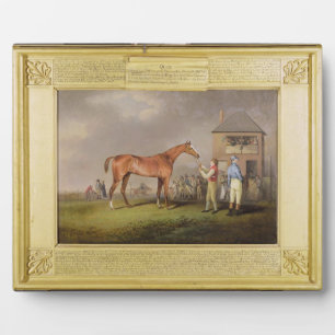 Portrait of 'Quiz', the property of Lord Rous, aft Fotoplatte